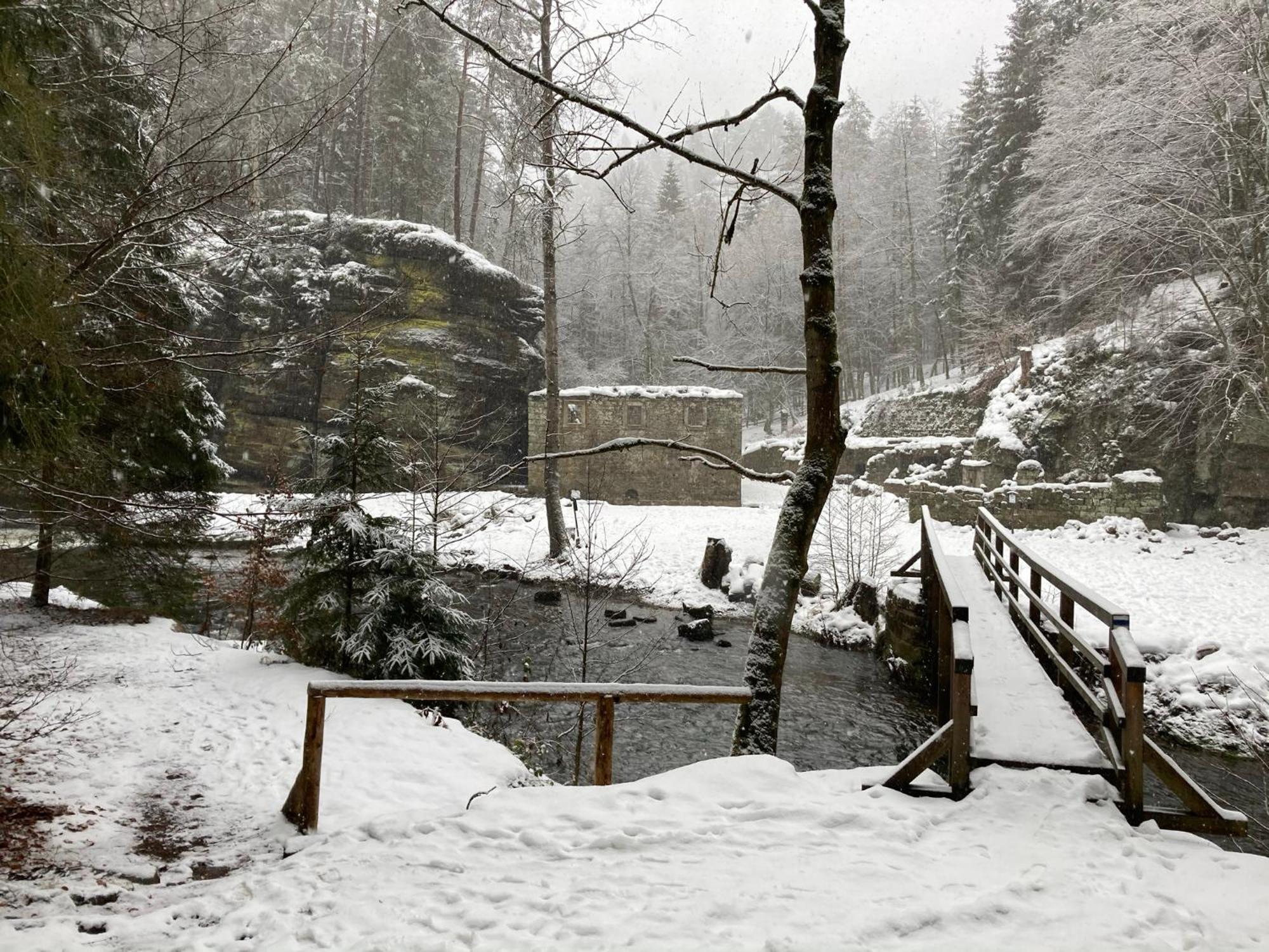 Pension Hofberg Jetřichovice Esterno foto